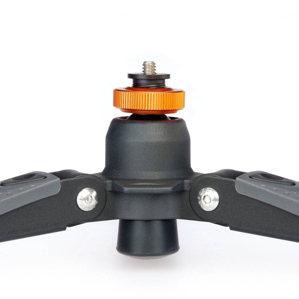 3-legged-thing-docz-monopod-fu-mini-stativ-bis-20-kg image 3