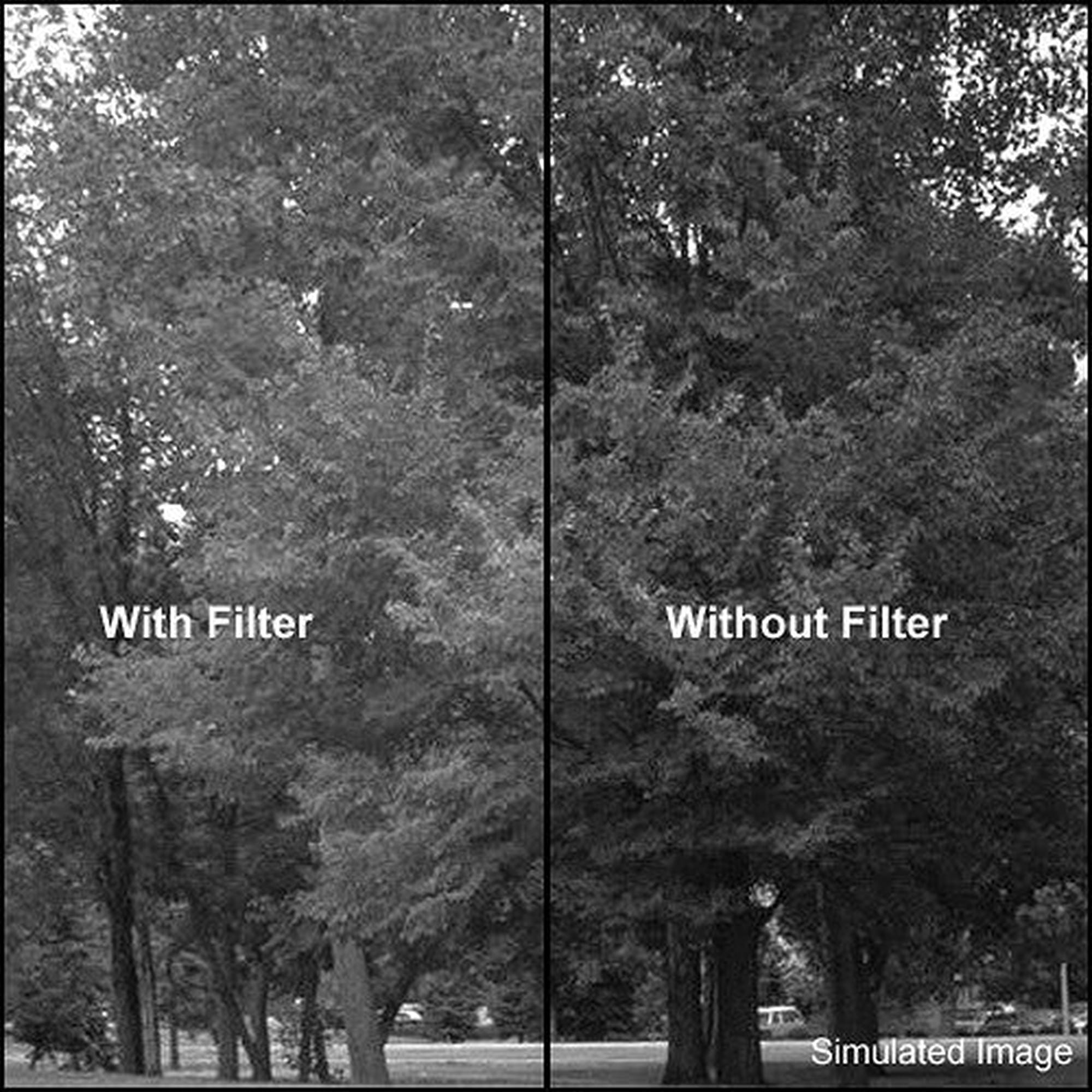 tiffen-series-9-dunkelgr-n-61-filter-f-r-schwarzwei image 2