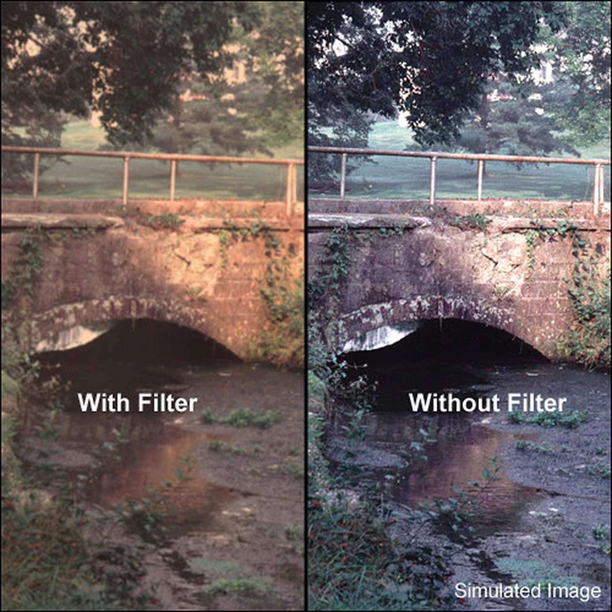 tiffen-warm-pro-mist-1-8-filter-4x4-weichzeichner image 1