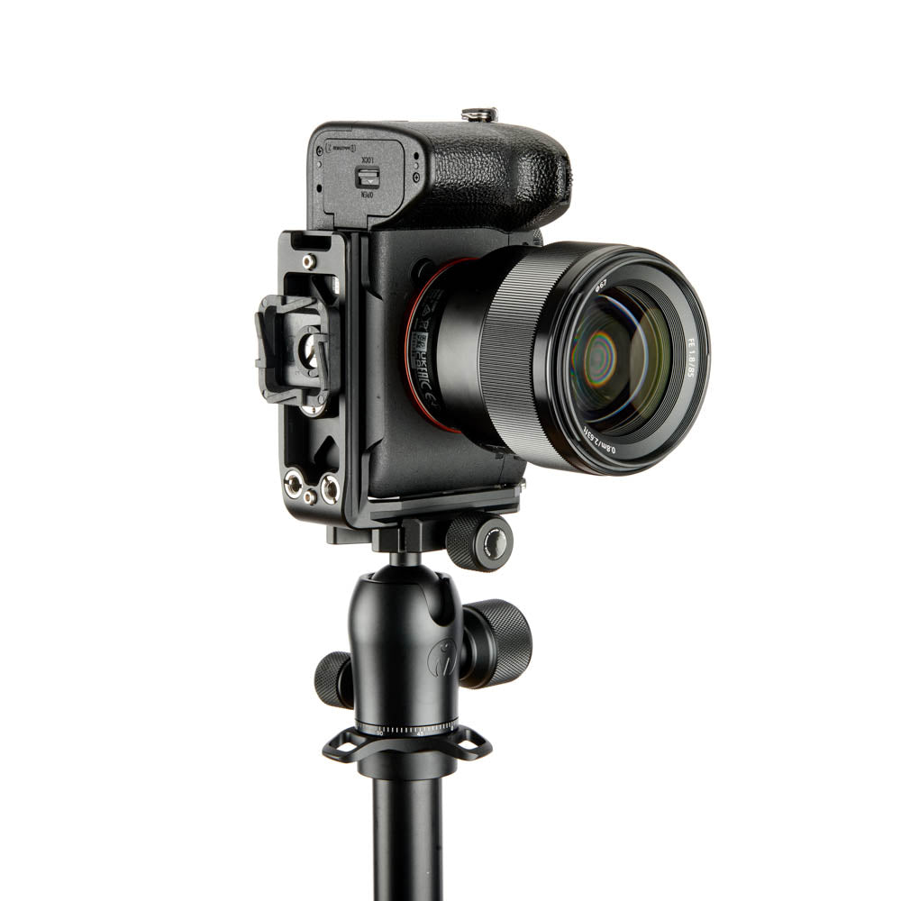 3-legged-thing-arnie-qd-l-winkel-sony-a7-darkness-arca-swiss image 7